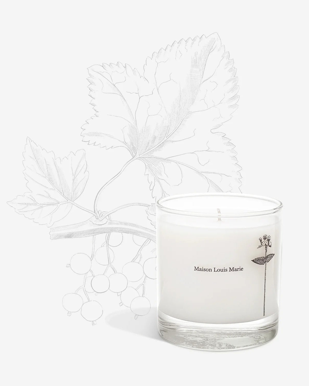 Maison Louis Marie Antidris Cassis Candle