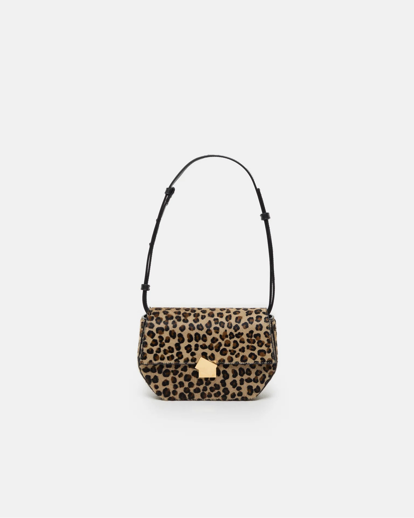Closed Leopard Bag