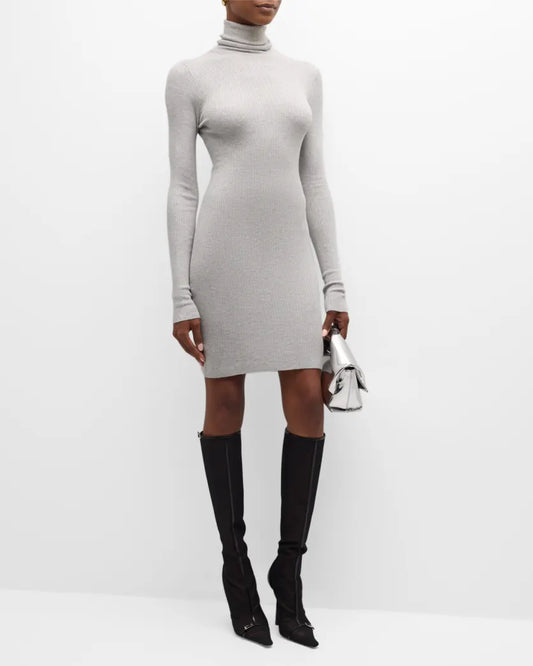 Enza Costa Silk Sweater Rib Turtleneck Mini Dress