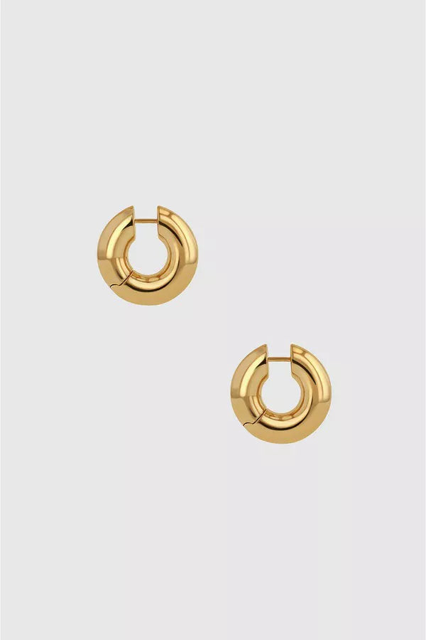 Anine Bing Small Gold Hoops