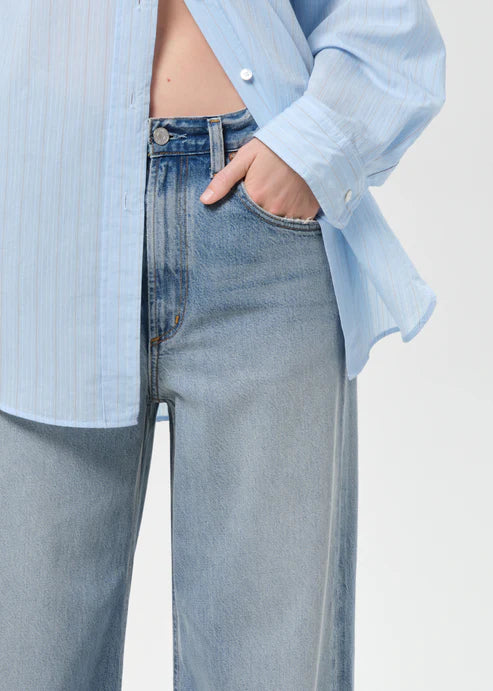 AGOLDE Low Curve Crop Jean