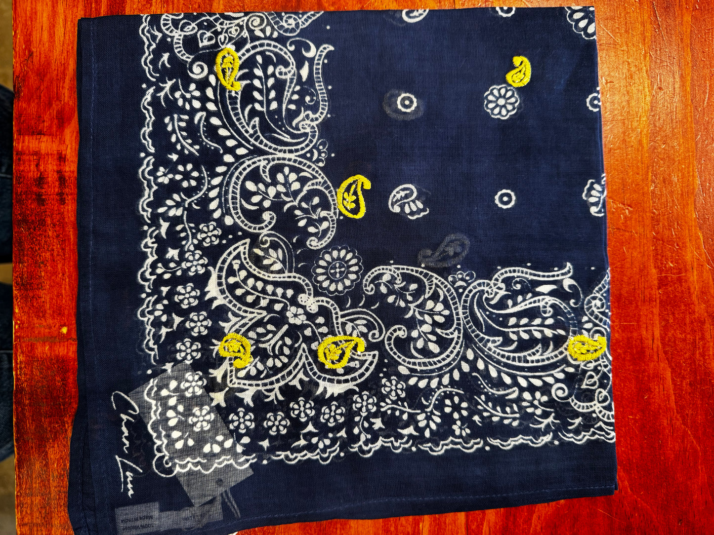Chan Luu Embroidered Bandana