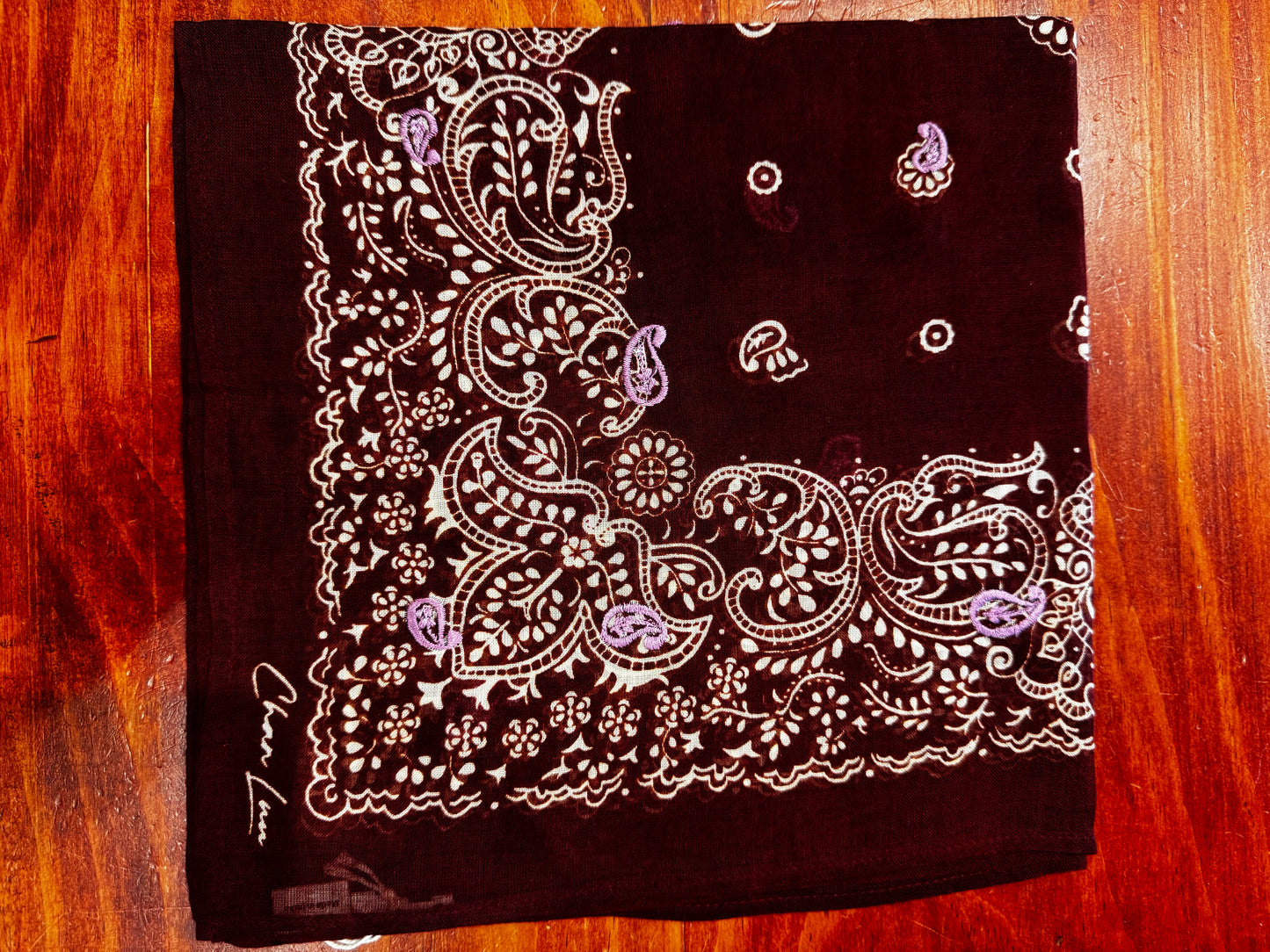 Chan Luu Embroidered Bandana