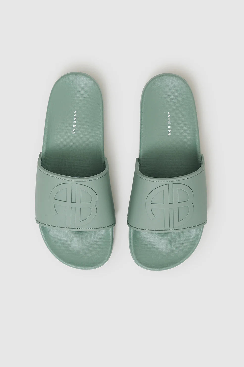 Anine Bing Isla Slides